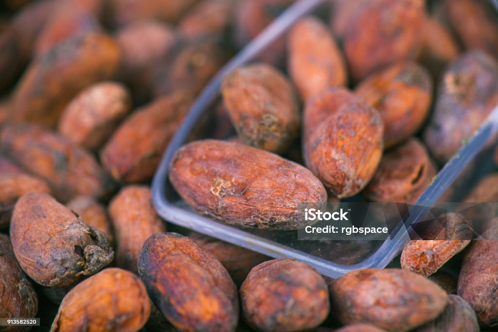 Cacao beans with scooper over wood background Detail of cacao beans with scooper over wood texture background Antioxidant Stock Photo