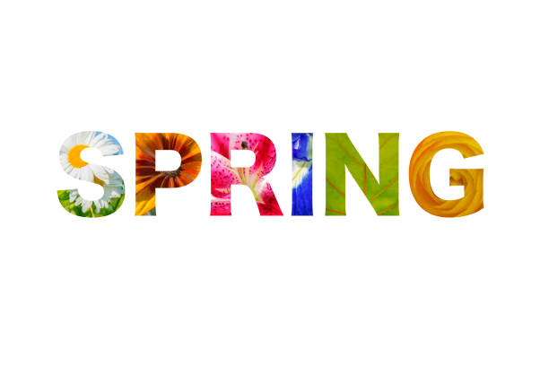 Logo lettering spring word - isolated over white - fotografia de stock