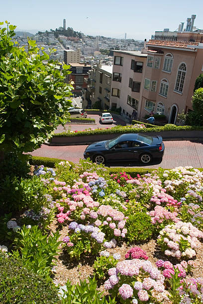 istock Lombard Street San Francisco 91359751