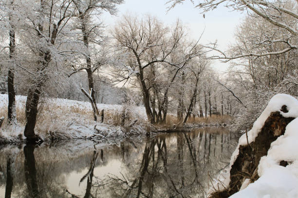 istock Winter forest on the river at sunset. 913598996