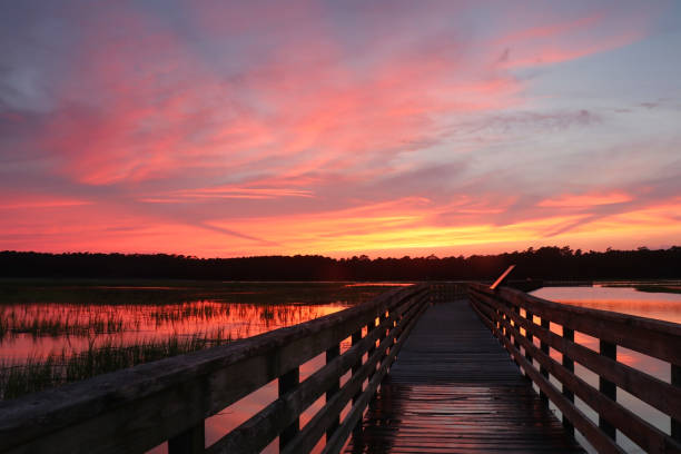 istock Huntington Beach State Park landscape. 913602570