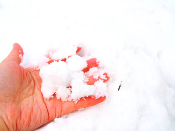 istock Close up left hand playing new fresh snow powder pile, forehand 913606118