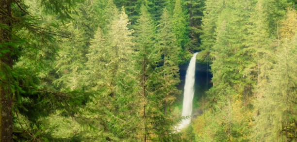 istock Oregon Silver Falls panorama banner masthead 913608726
