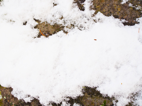 Fresh small white snow powder pile area on blurred dark brown wet soil floor background, with small dry fallen pine leaves, close up top view