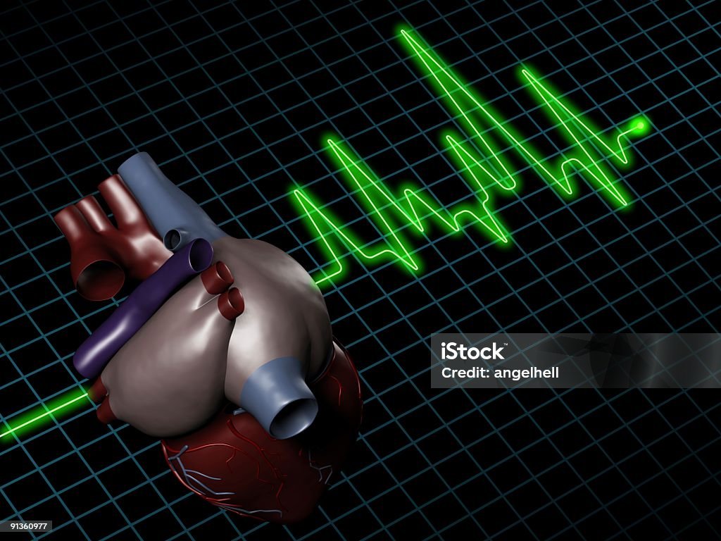 Electrocardiogram (ECG / EKG) with human heart on screen  Analyzing Stock Photo