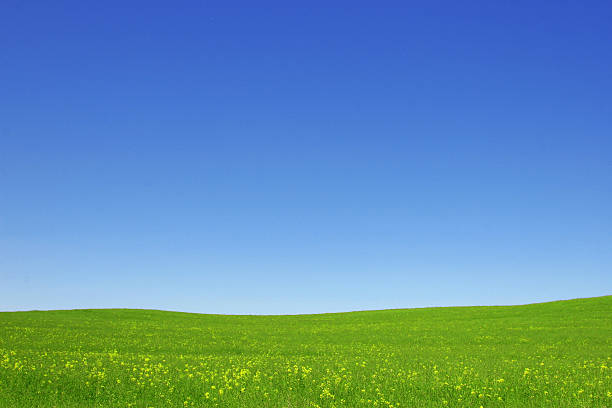 ouvert de champs verdoyants et de ciel bleu - open sky cloudscape cloud photos et images de collection