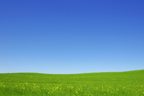 Excellent clear sky and green grass fields. Sunny, spring idyllic day. Background landscape. See more this series::::  http://www.zoomstudio.pl/istock/link-series-09.jpg 