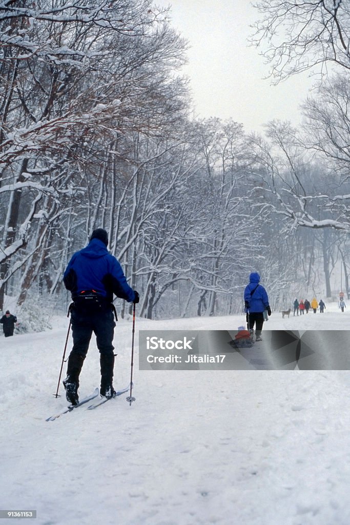 Cross Country Skiing in Prospect Park - Blizzard of 2006  Prospect Park - New York City Stock Photo