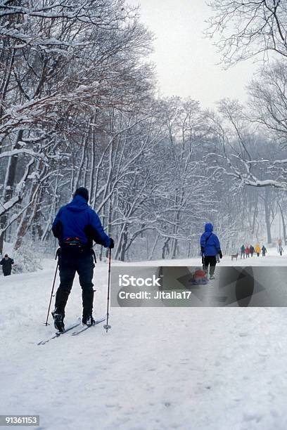 Cross Country Skiing In Prospect Park Blizzard Of 2006 Stock Photo - Download Image Now