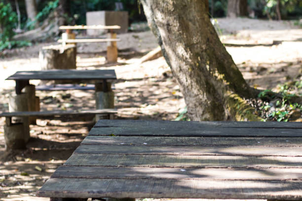 istock Old wooden table Midst nature, trees, sun 913616764