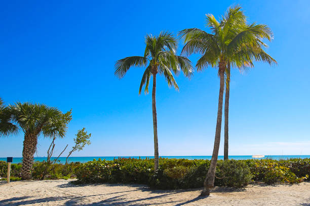 istock Beach Vacation Destination Sanibel Island 913623130