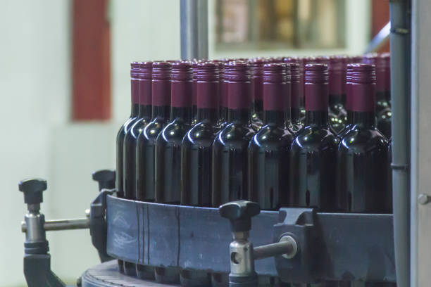 A group of red chilean glass bottles in automatic bottling process in a wine factory A group of red chilean glass bottles in automatic bottling process in a wine factory. Chilean wine is one of the most famous wines around the world, as Australia, France, California, Italy as well. chilean wine stock pictures, royalty-free photos & images