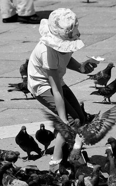 istock Feeding Pigeons in San Marco Plaza 91363555