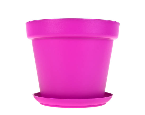 istock Pink plastic flower pots on white background 913638106