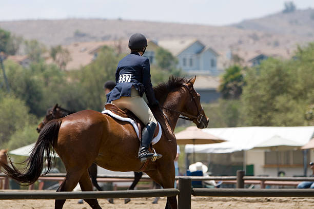 pferdeshow - horse show jumping jumping performance stock-fotos und bilder