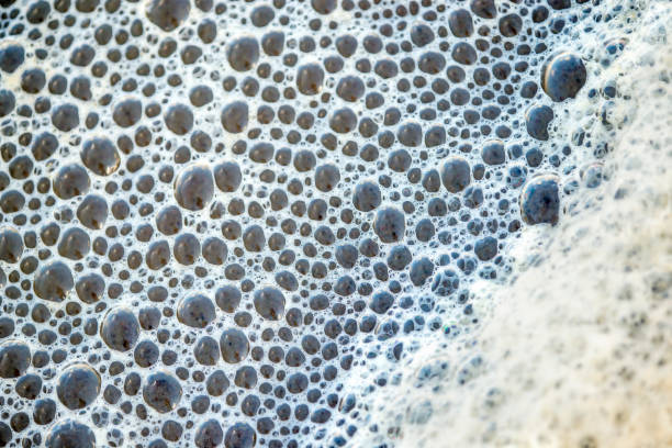 istock bubbles of the surf 913638650