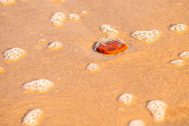 istock sandy beach with pebble and spray of the surf 913638668