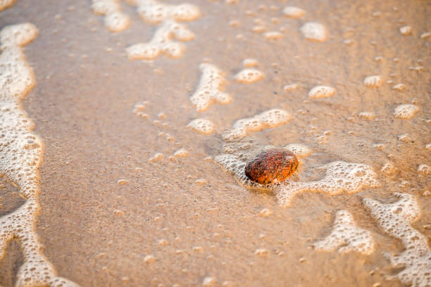istock sandy beach with pebble and spray of the surf 913638774