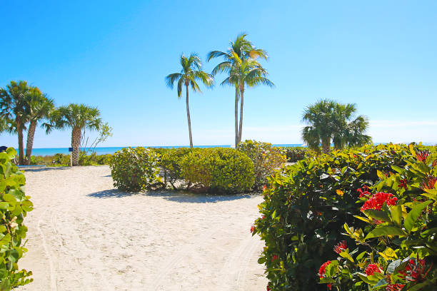 istock Beach Vacation Destination Sanibel Island 913639222