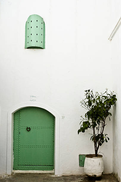 Green portas e visualização do dispositivo com planta em branco na parede - foto de acervo