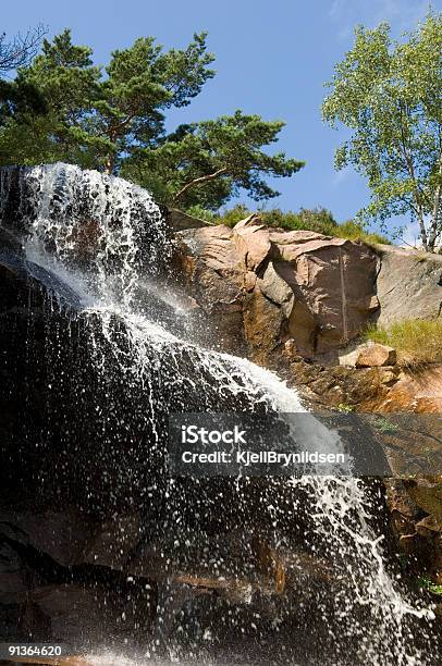 Photo libre de droit de Cascade Deau banque d'images et plus d'images libres de droit de Bois - Bois, Caillou, Cascade