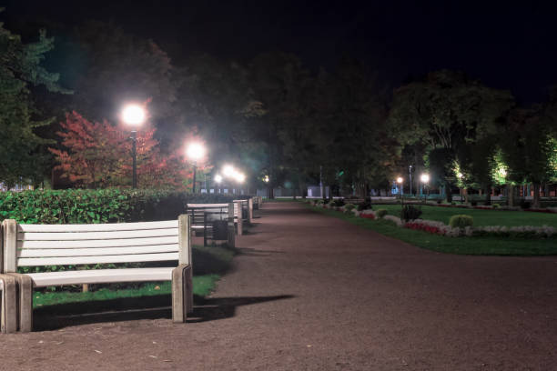 istock Benches by an Alley in the Park 913646586