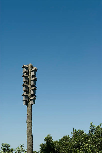 Bird condo stock photo