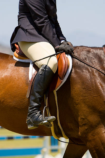 istock horse and rider 91365157