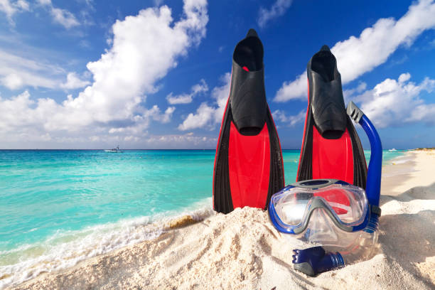 istock Snorkeling mask and fins 913653552