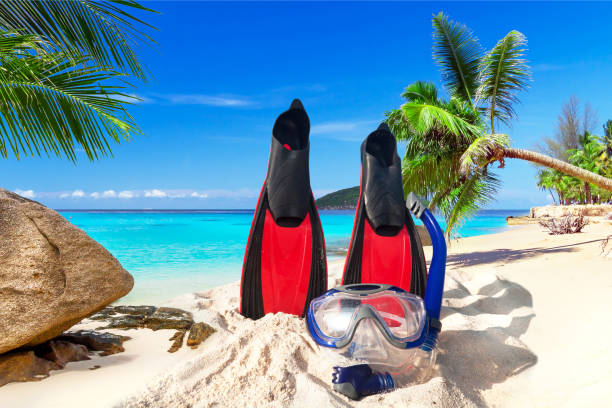 istock Snorkeling mask and fins 913653560