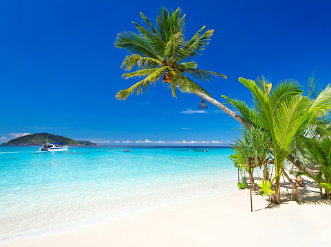 Panorama de la playa Tropical photo