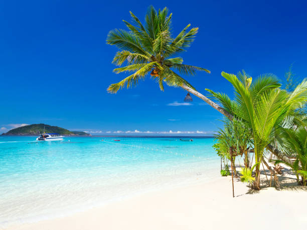tropikalna sceneria na plaży - nautical vessel sky blue andaman sea zdjęcia i obrazy z banku zdjęć