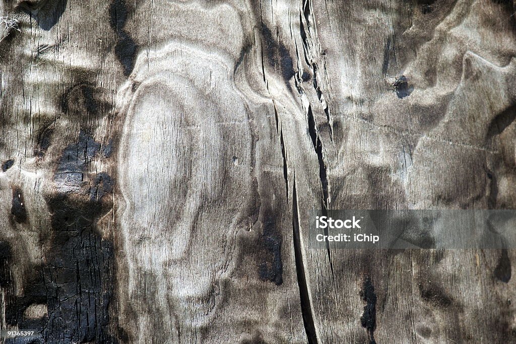 Quedado cáscara del árbol 3 - Foto de stock de Abedul libre de derechos