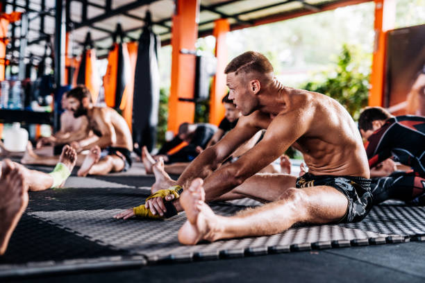 istock Focused athletes on martial arts training warming up 913654560