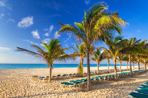 istock Beach at Caribbean sea in Playa del Carmen 913654592