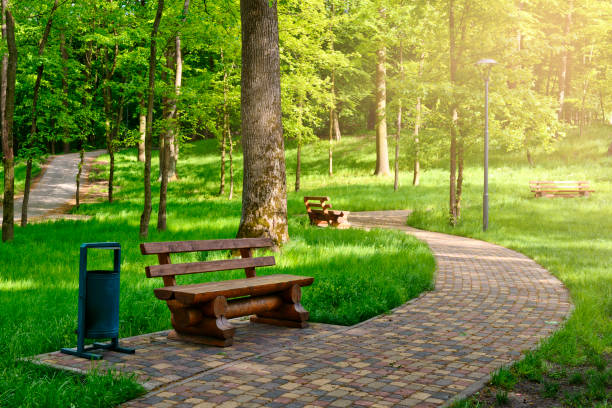 Walkway in a sunny spring park with wooden benches for rest