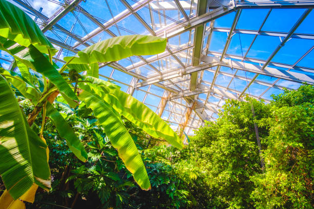 istock modern greenhouse interior glass building inside design 913661652