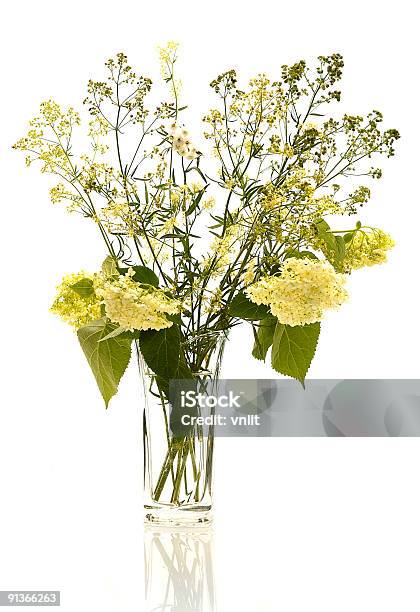 Bouquet With Hydrangea Stock Photo - Download Image Now - Beauty, Blossom, Botany