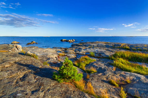 istock Beautiful coastline of Baltic sea 913664954