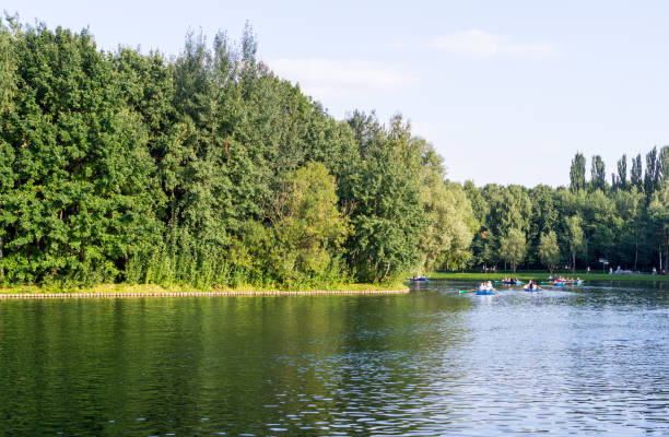 istock green water in the lake. background. 913665076