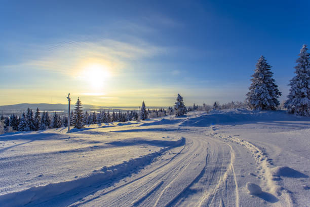 istock Winter landscape from Sotkamo, Finland. 913665188