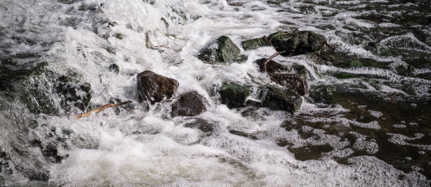 istock tree branch in stream, small waterfall. vignette, background, nature. 913665792