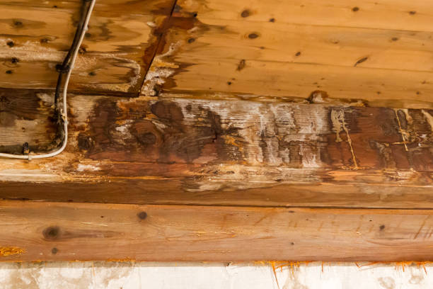 Water damaged ceiling and wall stock photo