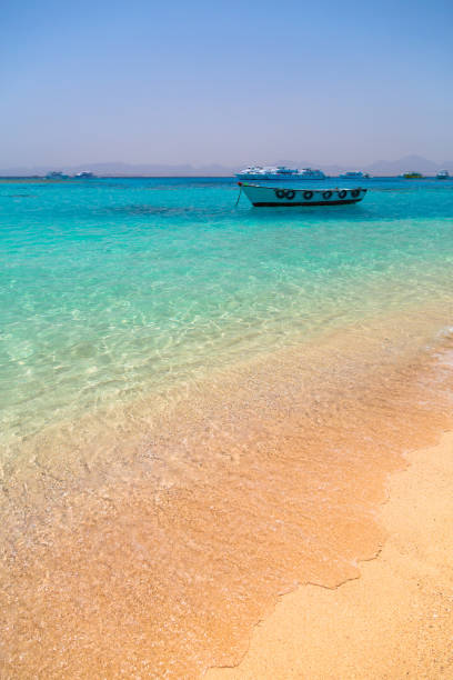 istock Turquise water of the exotic beach 913666676