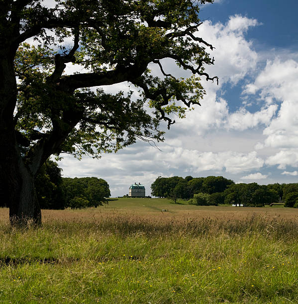 The Eremitage Park stock photo