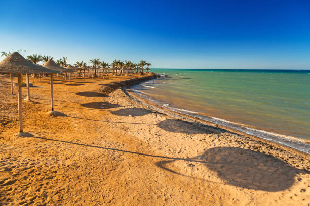 sonnenschirme am strand des roten meeres in hurghada - hurghada stock-fotos und bilder