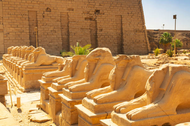 istock Ancient statues of Ram-headed sphinxes in Karnak temple 913669334