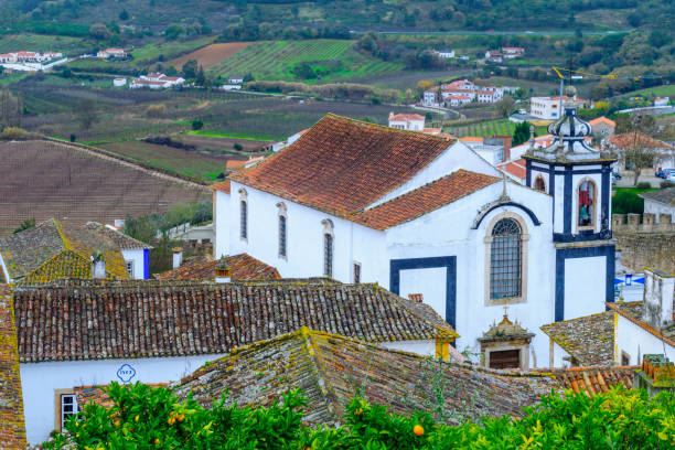 istock Rooftop view of the old town, in Obidos 913669478