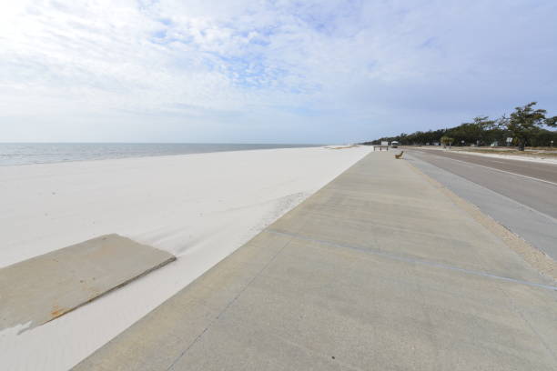 istock Long Beach at Mississippi in winter. 913669992