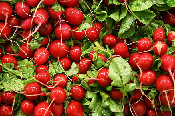 istock Fresh radish in a vegetable market 91367081